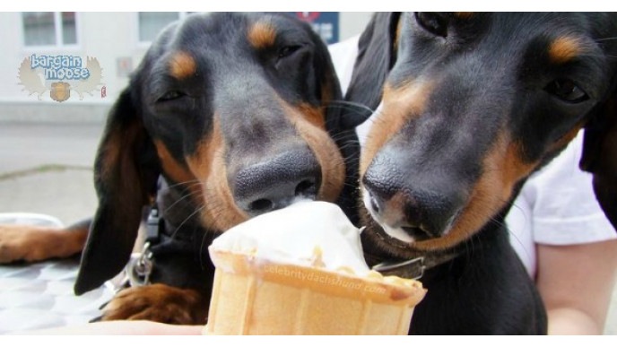 Free Vanilla Ice Cream Cone @ Dairy Queen (EXPIRED)