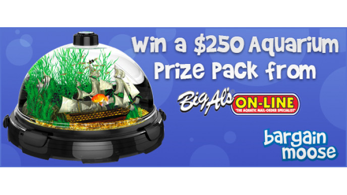 Bargainmoose Contest: Win A Complete Aquarium From Big Al's Pets (EXPIRED)