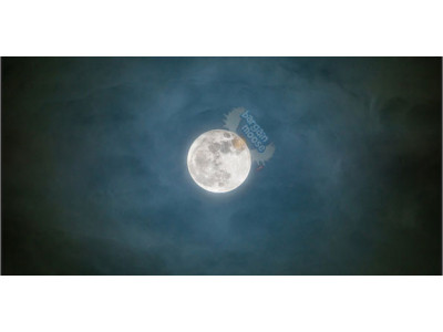 Best Buy Canada Online Only Sale Starts @ 8pm Tonight: Up To 75% Off Luggage, Jewellery, Electronics, & More! (EXPIRED)