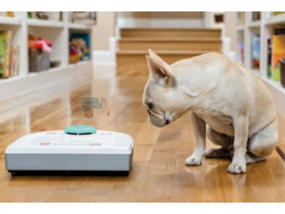 Costco Canada: Neato Botvac Was $480 | Now $380 & Free Shipping