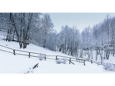 Carter's OshKosh Canada: Girl's Columbia Snow Jacket & Pants Was $175 | Now $87.49 + Shipping (EXPIRED)