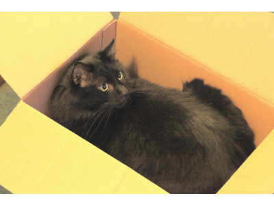 Walmart Canada: 3-Tool Combo Pack Was $20 | Now $10 & Free Shipping