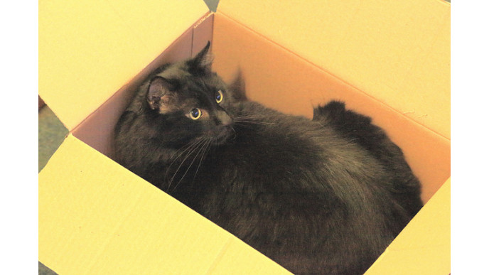 Walmart Canada: 3-Tool Combo Pack Was $20 | Now $10 & Free Shipping