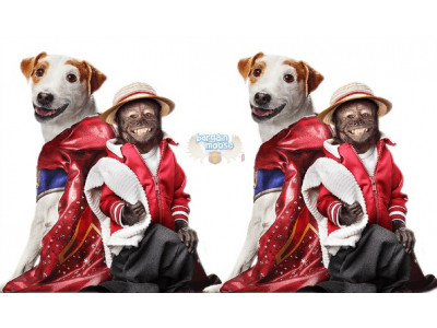 2 Free Movie Pass Codes To A Screening of Russell Madness @ Cineplex Theatres