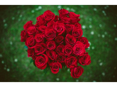 Spoil Her With 24 Red Roses