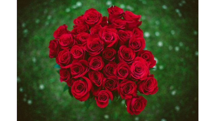 Spoil Her With 24 Red Roses, Chocolate, Teddy Bear, Card & Free Shipping @ Canaflora: Was $130 | Now $82