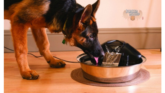 PetSafe Drinkwell Stainless Steel Pet Fountain Was $100 | Now $50 + Free Shipping @ Amazon.ca