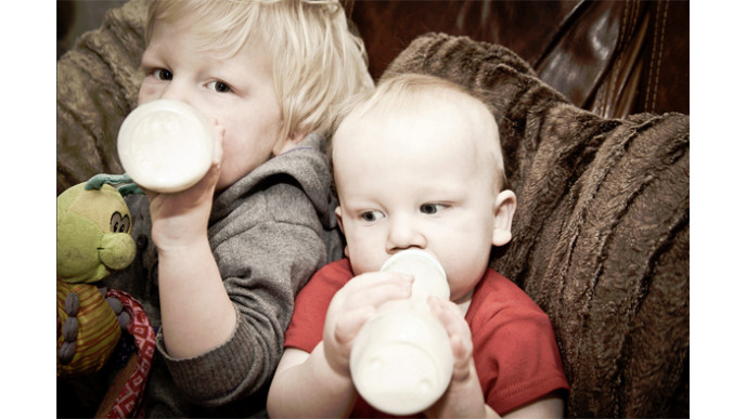 Canadian Freebies: Enfagrow A+ Nutritional Drink for Toddlers