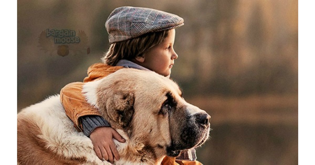 Free ½ Pound Bag Of Now Fresh Dog or Go! Cat Food (Printable Coupon)