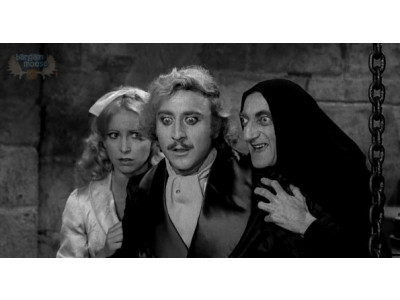 Amazon.ca: The Mel Brooks Collection [Blu-ray] Only $21 (FS @ $25) (EXPIRED)