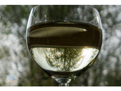 Make Your Own Wine With The Argentia Ridge Peach Chardonnay Wine Kit @ Costco Canada - Just $1.63 Per Bottle