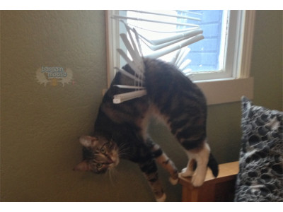 Canadian Freebie: 6 Free Window Coverings For Roll-Up Shades, Vertical Blinds, Draperies & More!