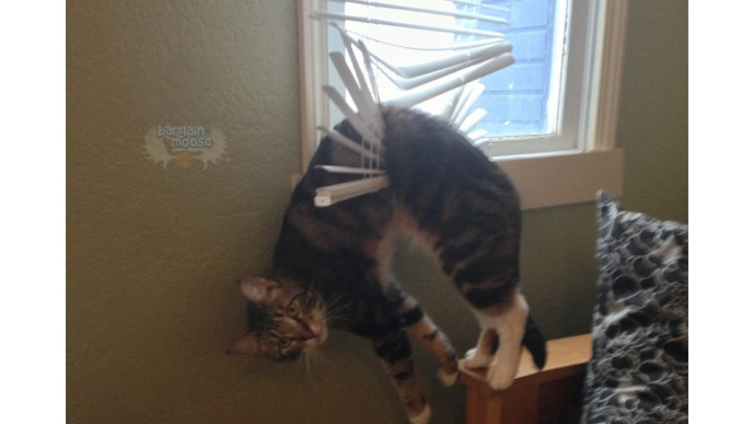 Canadian Freebie: 6 Free Window Coverings For Roll-Up Shades, Vertical Blinds, Draperies & More!