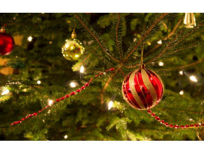 Walmart Canada: 3.5 ft Christmas Tree Was $19 | Now $4.75 (EXPIRED)