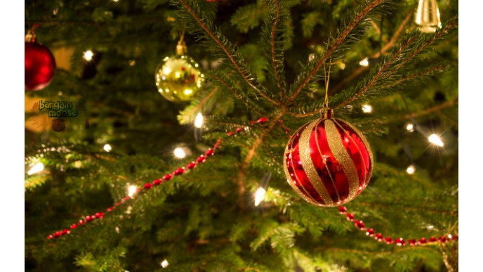 Walmart Canada: 3.5 ft Christmas Tree Was $19 | Now $4.75 (EXPIRED)