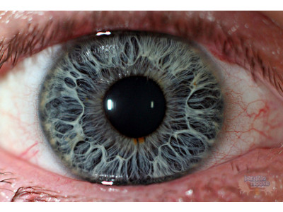 $110 Off Canon EOS Rebel T4i Kit (Refurbished) - Was $500 | Now $390 @ Canon eStore Canada