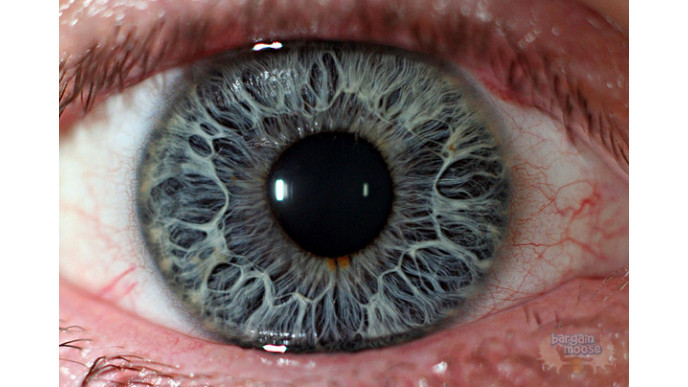 $110 Off Canon EOS Rebel T4i Kit (Refurbished) - Was $500 | Now $390 @ Canon eStore Canada