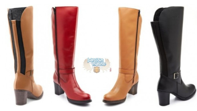 Martino Women's Tall Waterproof Winter Boots With Back Twin Gore Was $240 | Now Only $100 & Free Shipping @ Sears Canada With Coupon Code