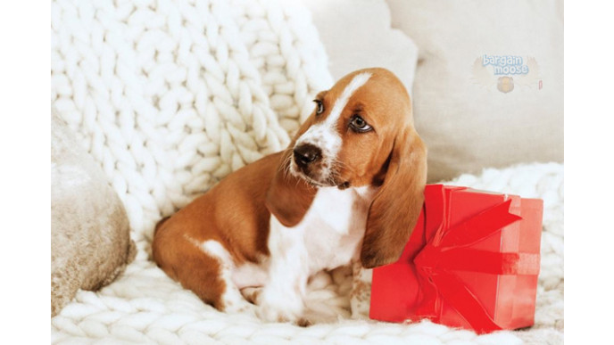 Hush Puppies Canada: Up To 75% Off Outlet + EXTRA 50% Off (& Free Shipping!)