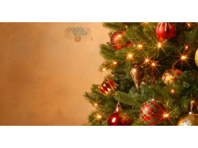(75% Off) Pre-Lit Christmas Trees @ Giant Tiger - $30 or $60 & Free Shipping!