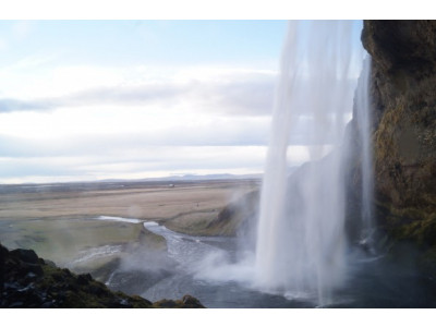 The Source: $35 Off Sony Cyber-shot Camera - Now $65