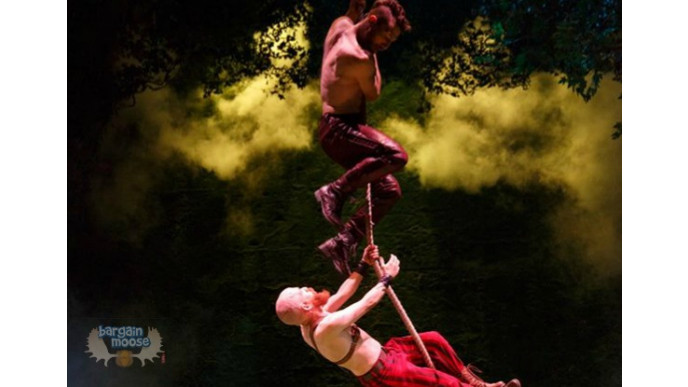 Mirvish TicketKing Promo Code: Buy One Ticket, Get the Second for $1