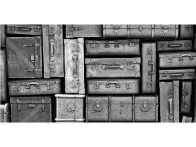 Future Shop Canada: BOG2 Free Select Luggage *HOT* (EXPIRED)