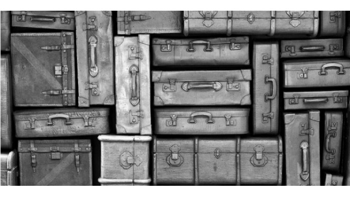 Future Shop Canada: BOG2 Free Select Luggage *HOT* (EXPIRED)