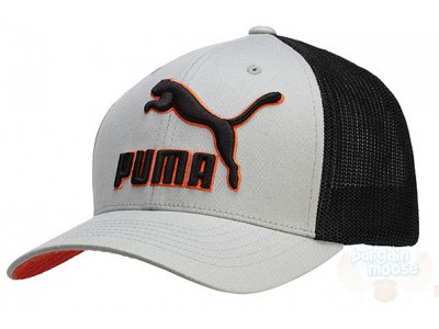 Puma All-Pro Mesh Fitted Hats Only $11.75 & Free Shipping!