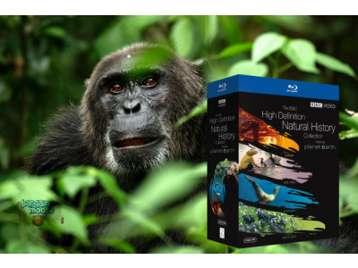 Best Buy Canada: BBC Natural History Collections Blu Ray Just $54.99