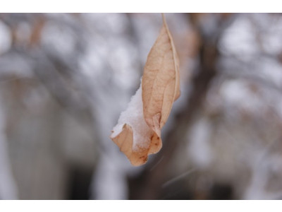 Canon Canada: EOS Rebel T3 with Lens & Kit Only $299 & Free Shipping (EXPIRED)