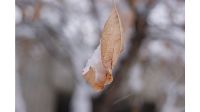 Canon Canada: EOS Rebel T3 with Lens & Kit Only $299 & Free Shipping (EXPIRED)