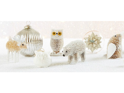 Chapters Indigo Canada: Pre-Black Friday Deals!