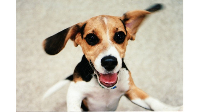 Entertainment Books Only $20 & Free Shipping For Black Friday