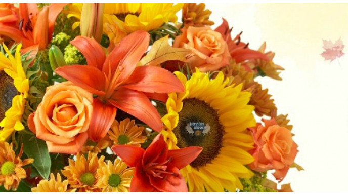 1800 Flowers Promo Code: Exclusive 20% Off Everything!