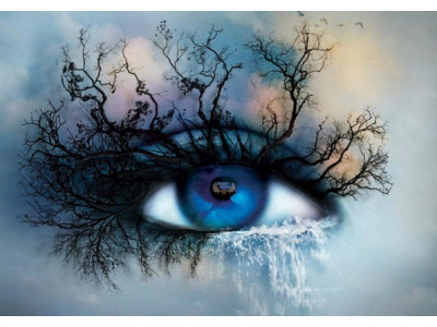 Book Outlet Canada Promo Code: Exclusive $5 Off $20