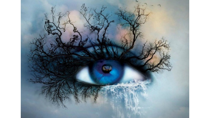 Book Outlet Canada Promo Code: Exclusive $5 Off $20