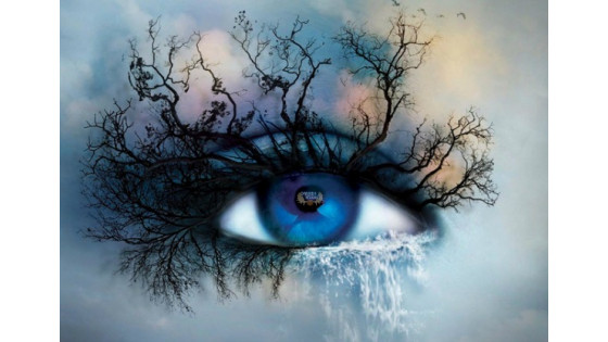 Book Outlet Canada Promo Code: Exclusive $5 Off $20