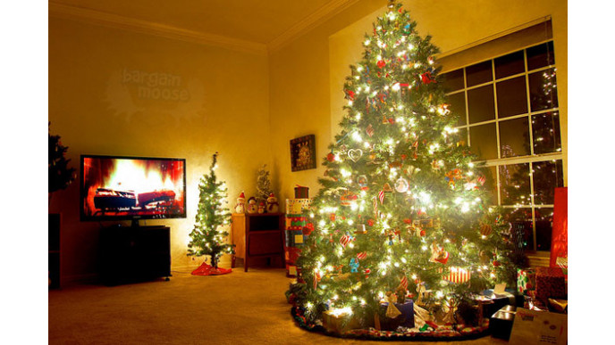 Chapters Indigo Canada: 30% Off 4+ Holiday Ornaments