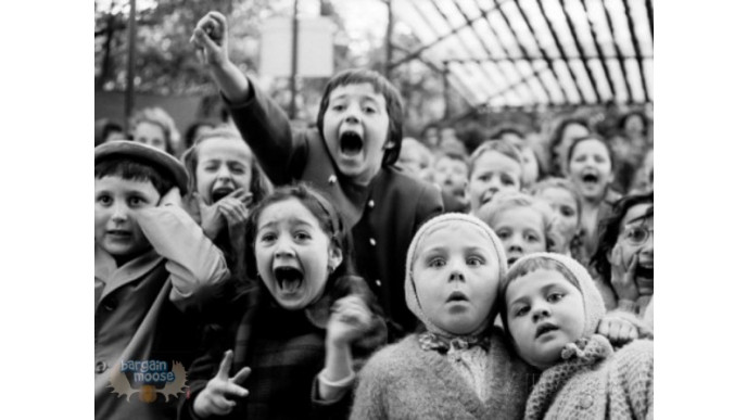 AllPosters Canada Promo Code: Exclusive 40% Off 