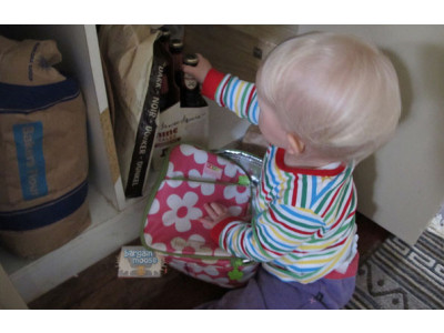 P&G Canada Freebie: Free Safety Latch Starter Kit