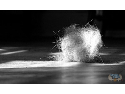 Costco Canada: $90 Off Neato Signature XV Vacuum - Now $300