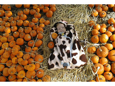 Well.ca Stocktoberfest Deals: Up To 75% Off Baby, Personal Care, Home Items & More!