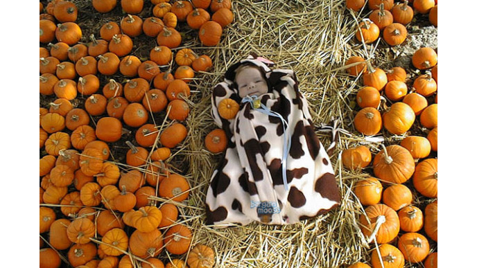 Well.ca Stocktoberfest Deals: Up To 75% Off Baby, Personal Care, Home Items & More!