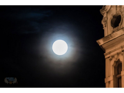 Toys R Us Canada Midnight Madness Sale Starting @ 6pm Tonight!