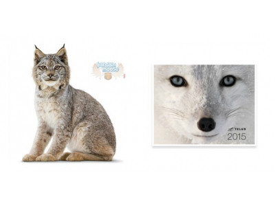 Canadian Freebies: Free 2015 Calendar @ Telus