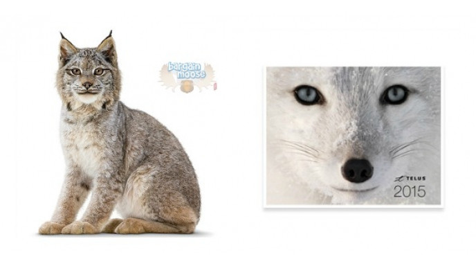 Canadian Freebies: Free 2015 Calendar @ Telus