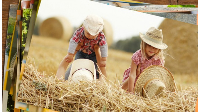 PhotoLab Canada: 50 4x6 Prints Just $5