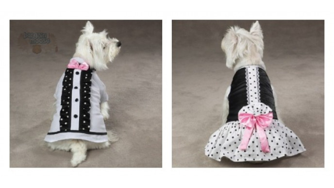 Pet Only Canada: Pet Clothing & More on Sale