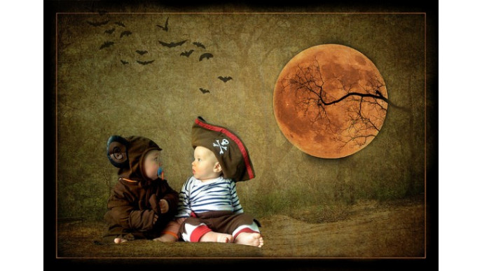 Minitrade Canada coupon code: 20% off Fall Items